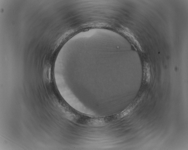 X0000066540110200604071652