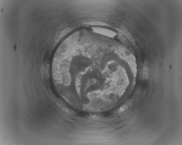 X0000066540111200604071652