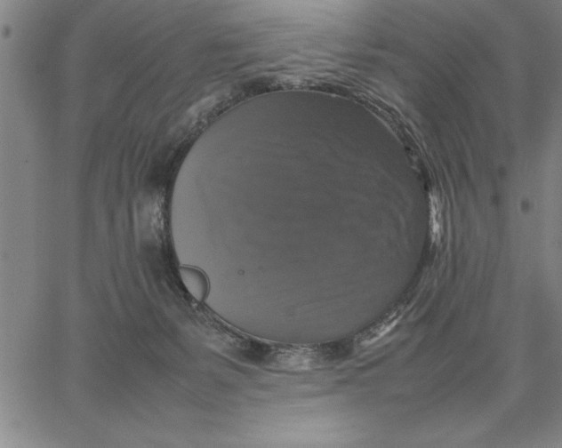 X0000066540127200604071651