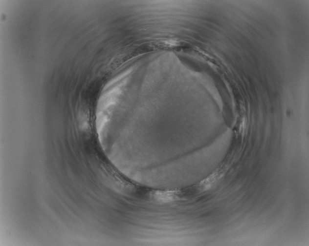 X0000066540134200604071651