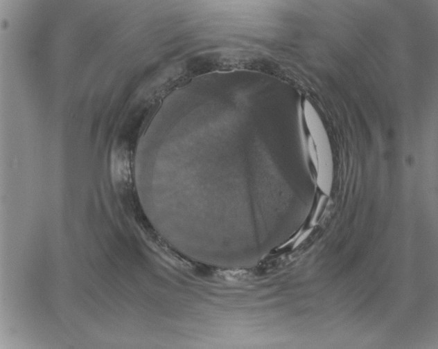 X0000066540137200604071651