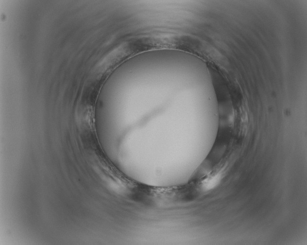 X0000066540141200604071651