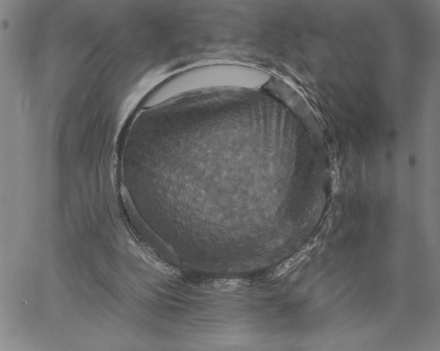 X0000066540152200604071650