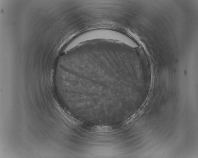 X0000066540154200604071650