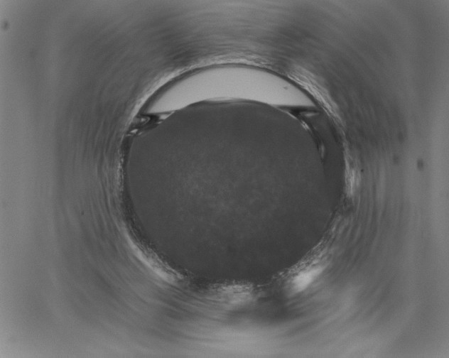 X0000066540156200604071650