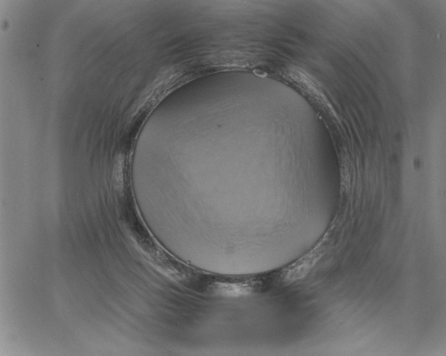 X0000066540167200604071651