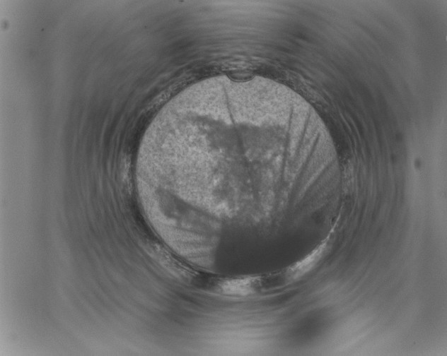 X0000066540178200604071651