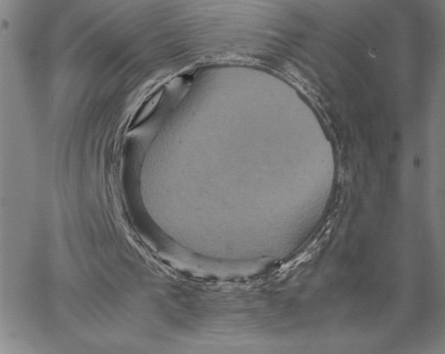 X0000066540193200604071650