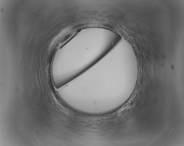 X0000066540197200604071650