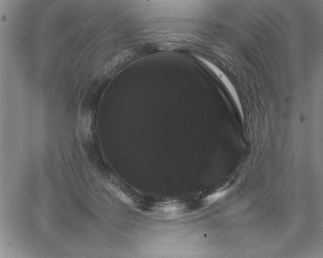 X0000066540219200604071650