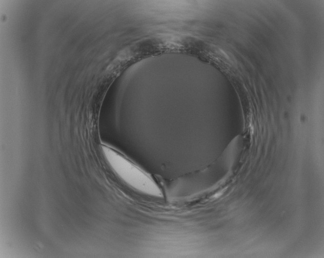 X0000066540223200604071650