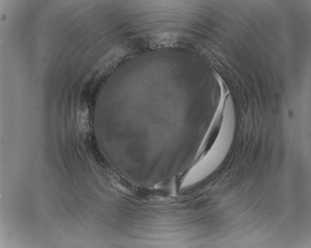 X0000066540224200604071650