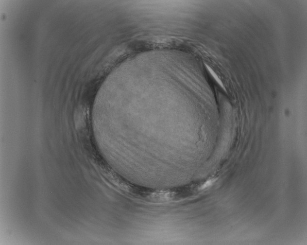 X0000066540225200604071650