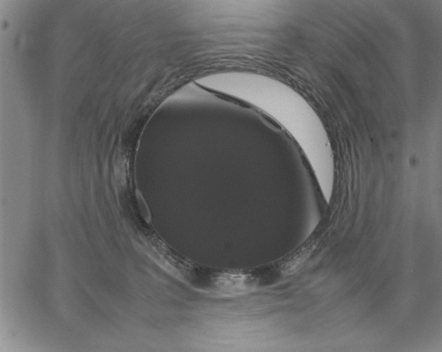 X0000066540227200604071650