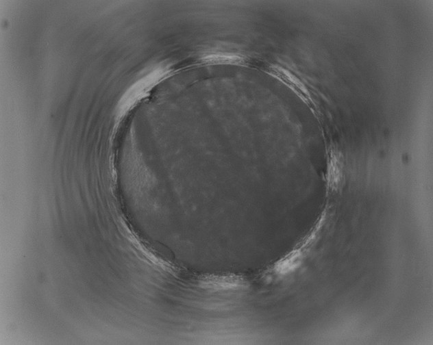 X0000066540245200604071649
