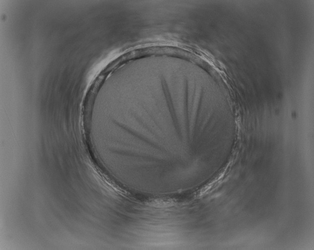 X0000066540248200604071649