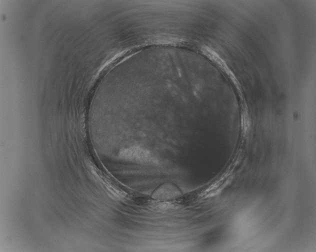 X0000066540249200604071649