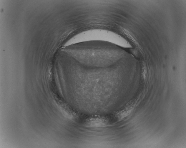 X0000066540259200604071649