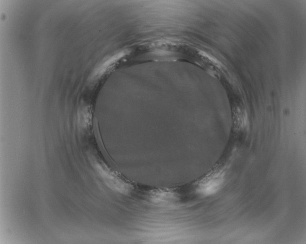 X0000066540284200604071649