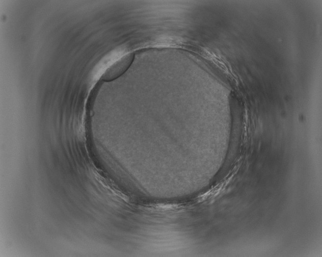X0000066540292200604071649