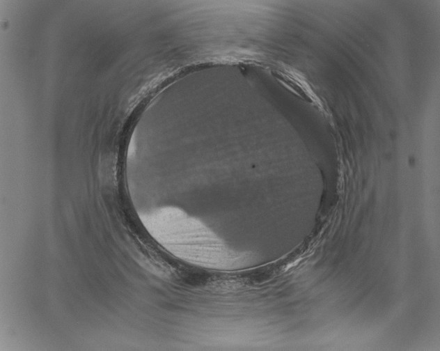 X0000066540299200604071648