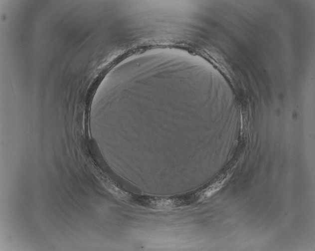 X0000066540301200604071648