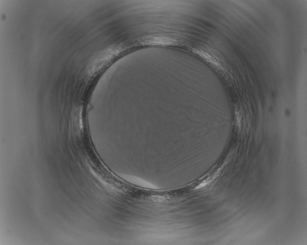 X0000066540302200604071648