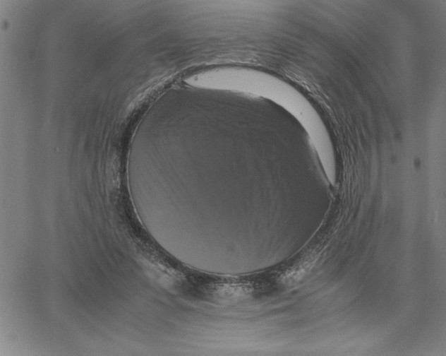 X0000066540303200604071648