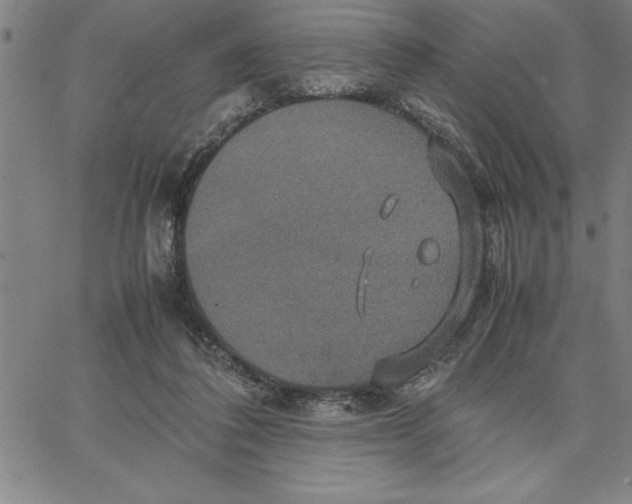 X0000066540308200604071648
