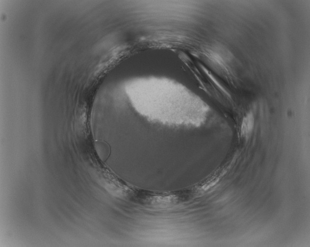 X0000066540314200604071648