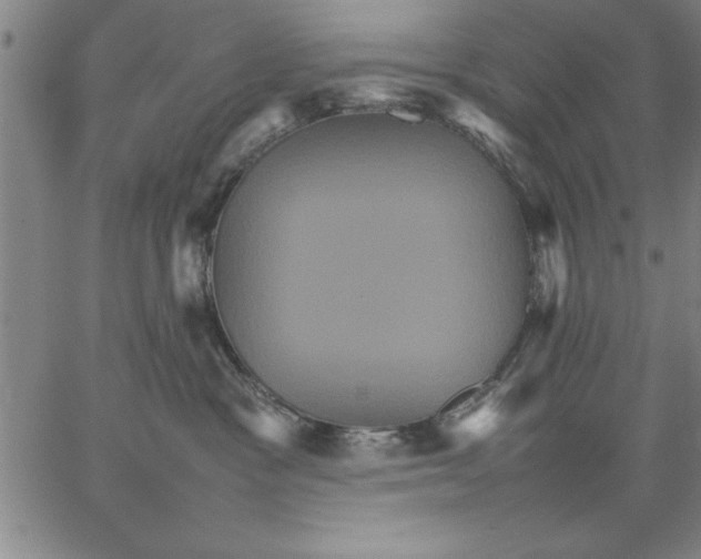 X0000066540333200604071648