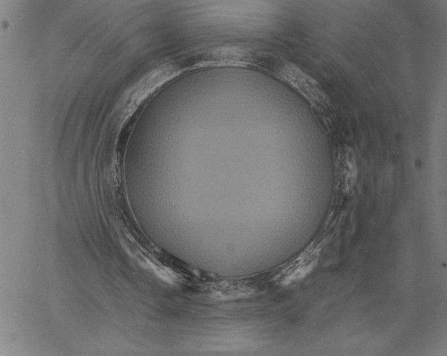 X0000066540338200604071647