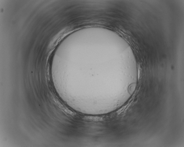 X0000066540339200604071647