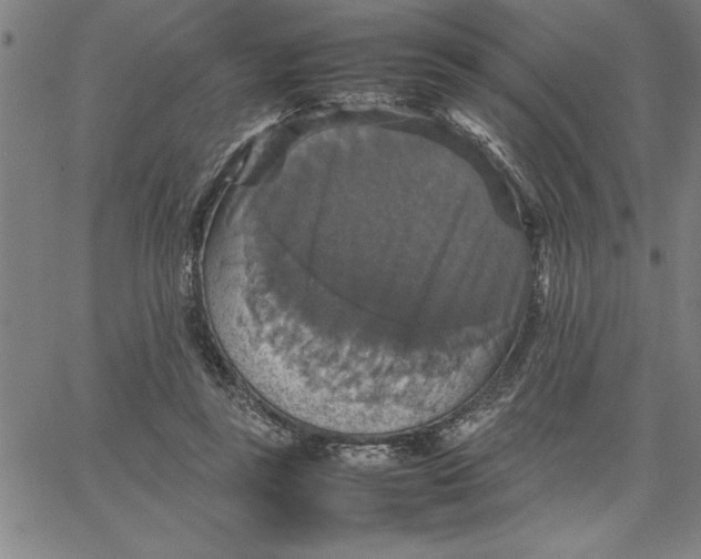 X0000066540355200604071647