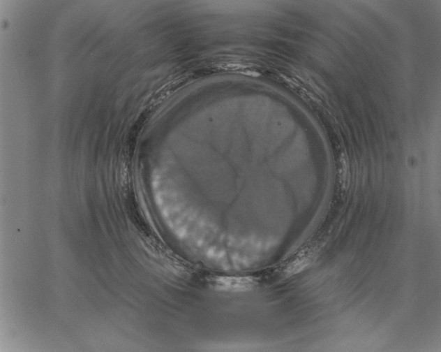 X0000066540371200604071648