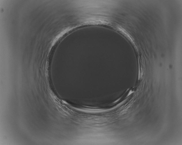 X0000066540387200604071647