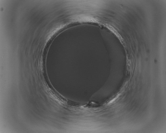 X0000066540391200604071647