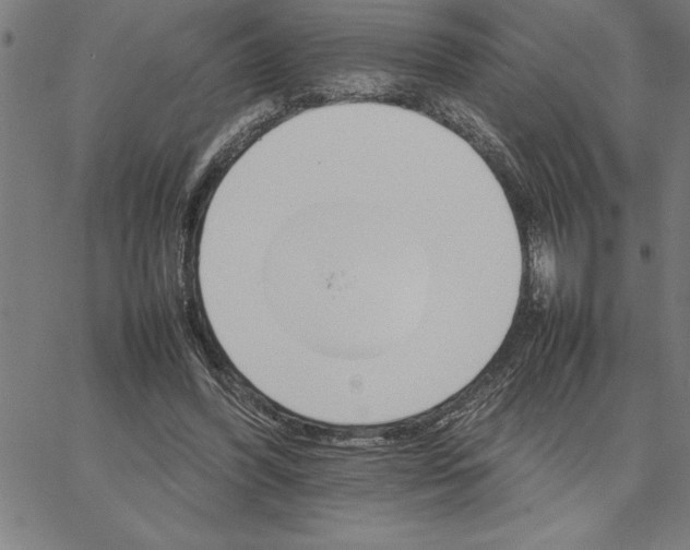 X0000066540396200604071647