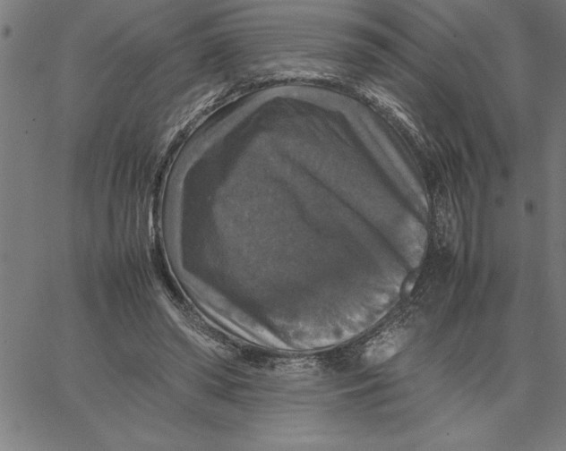 X0000066540398200604071647