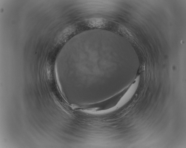 X0000066540408200604071647