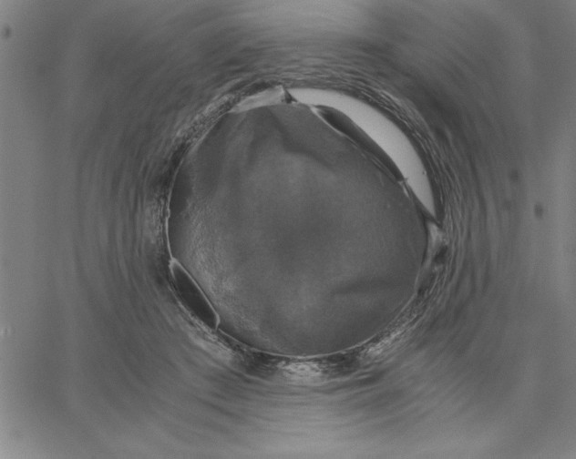 X0000066540409200604071647