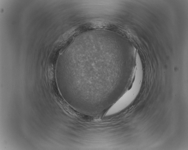 X0000066540413200604071647