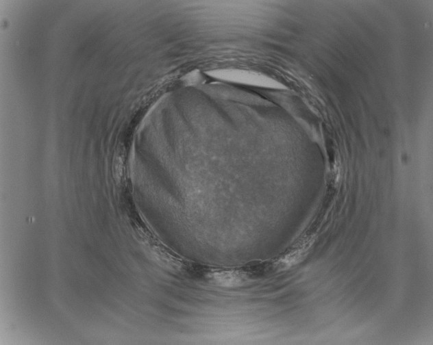 X0000066540417200604071647