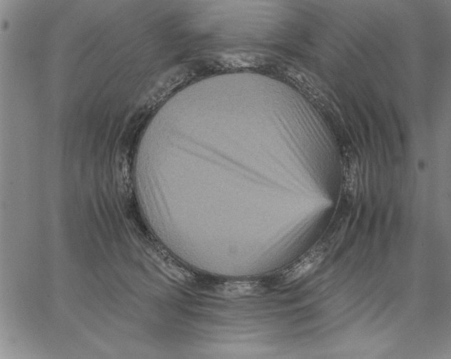 X0000066540418200604071647