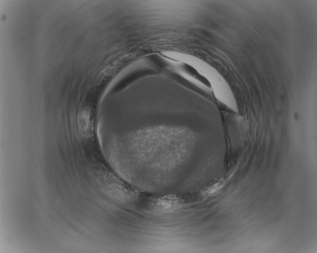 X0000066540420200604071647