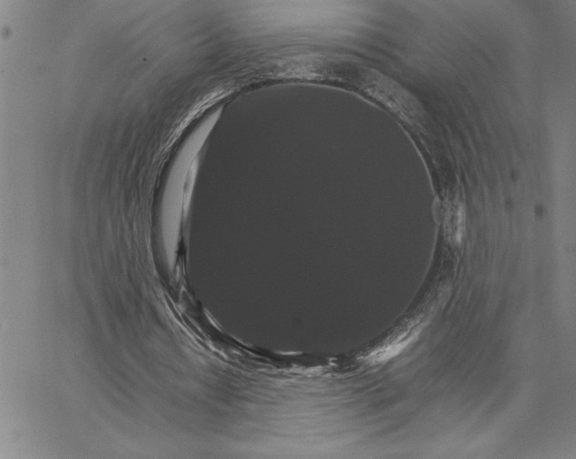 X0000066540434200604071646