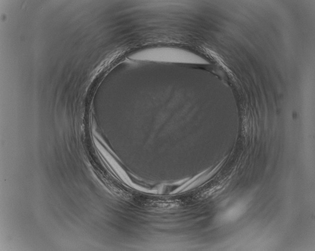 X0000066540443200604071646