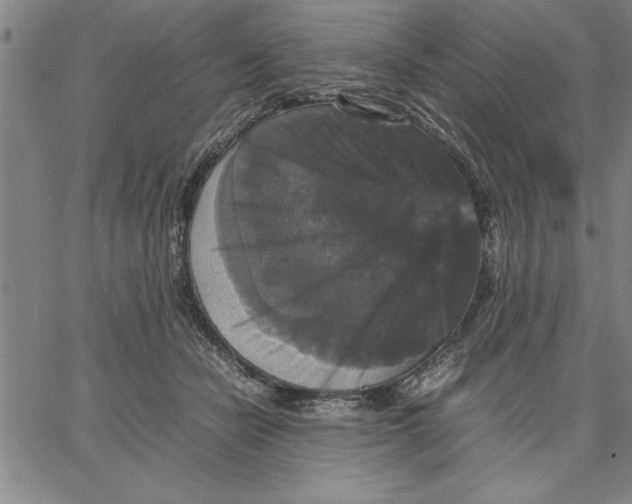 X0000066540462200604071646