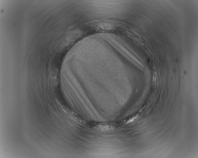 X0000066540464200604071646