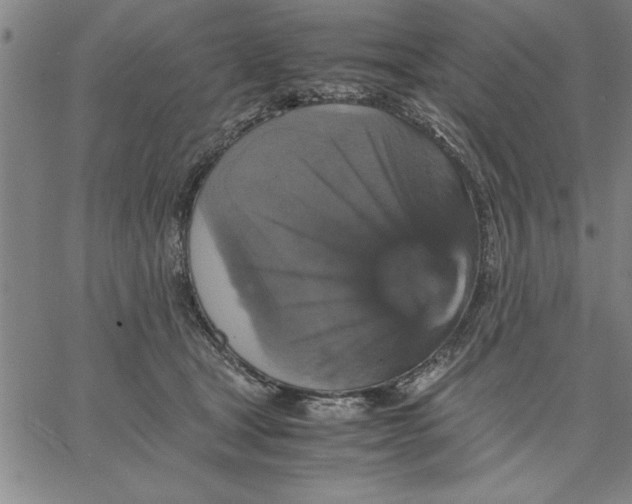 X0000066540465200604071646